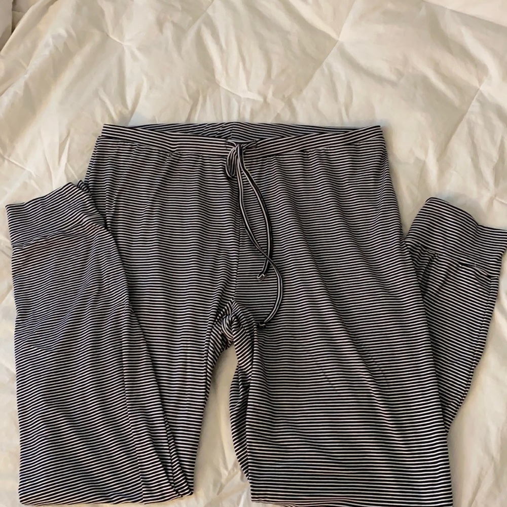 Tahari joggers